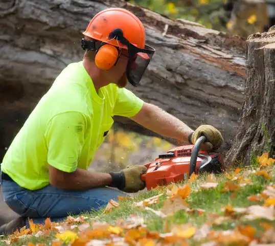 tree services Yanceyville